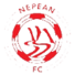 纳平联logo