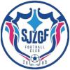 石家庄功夫logo