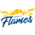 汤斯维尔火焰女篮logo